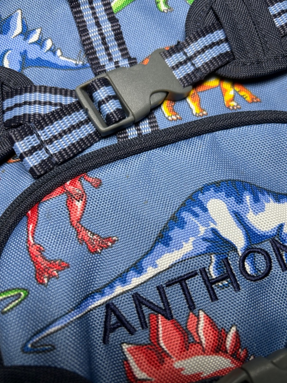 Pottery Barn Kids Personalized Kids Blue Dinosaur Backpack - Anthony - Picture 9 of 16
